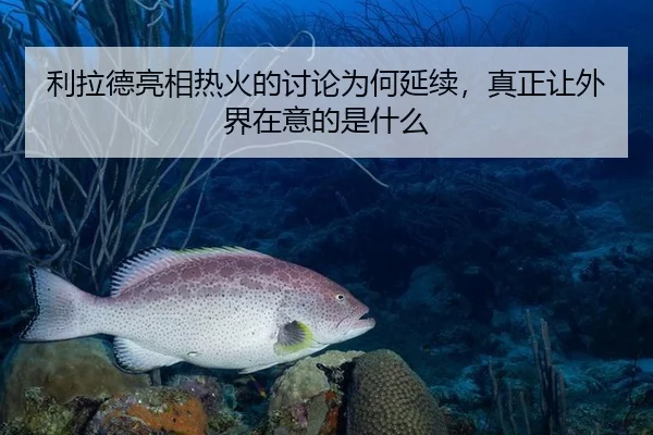 利拉德亮相热火的讨论为何延续，真正让外界在意的是什么