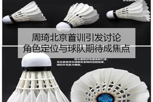 周琦北京首训引发讨论 角色定位与球队期待成焦点